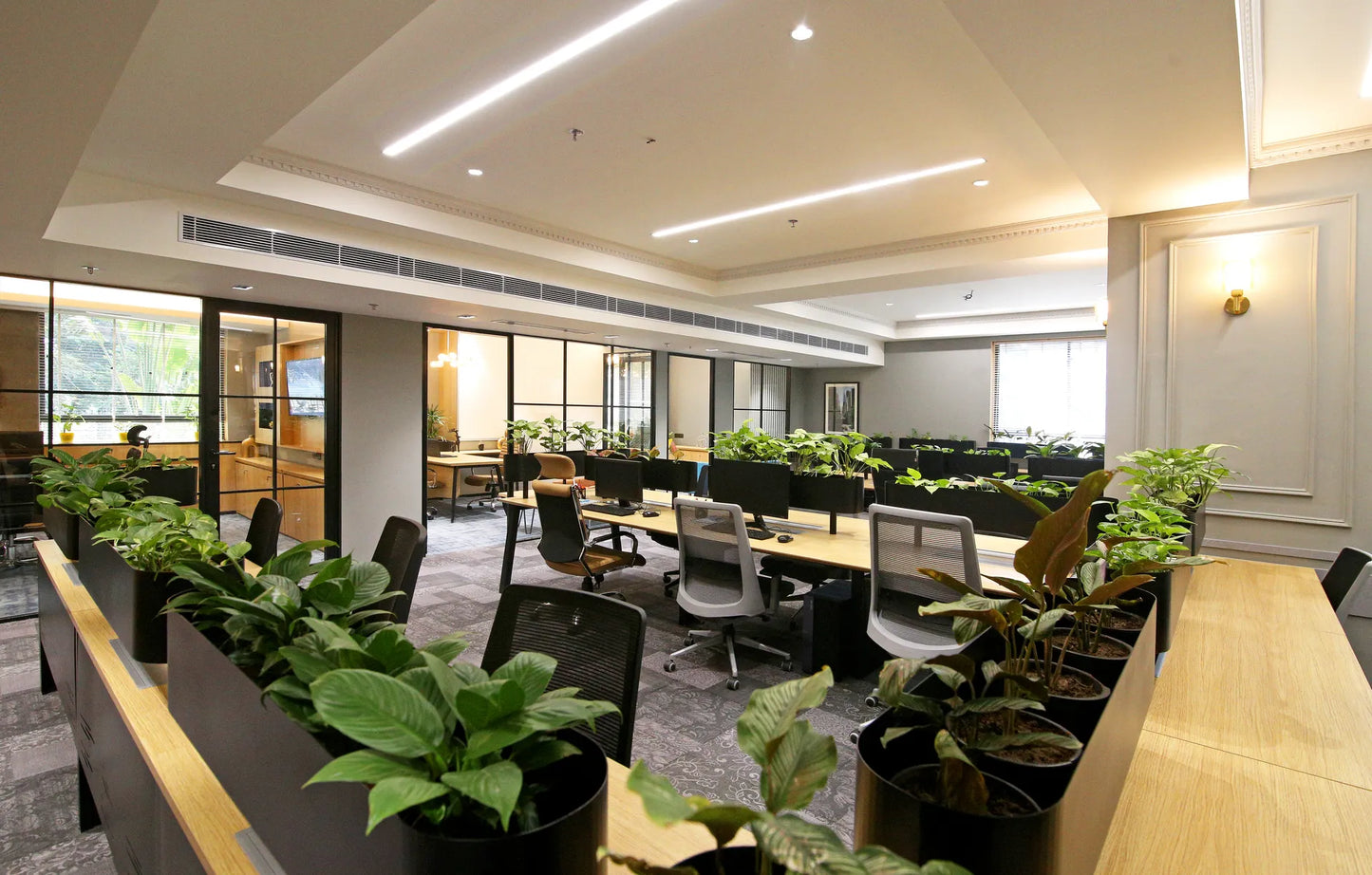 Virtual Office - Sector 18,Gurgaon