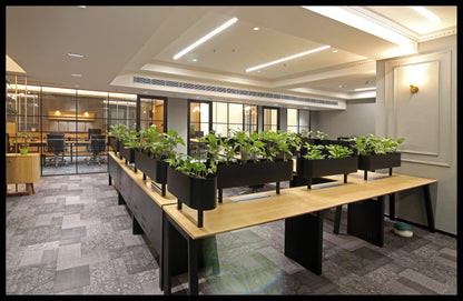 AIHP Palms Managed Office Space, udyog vihar, Gurgaon